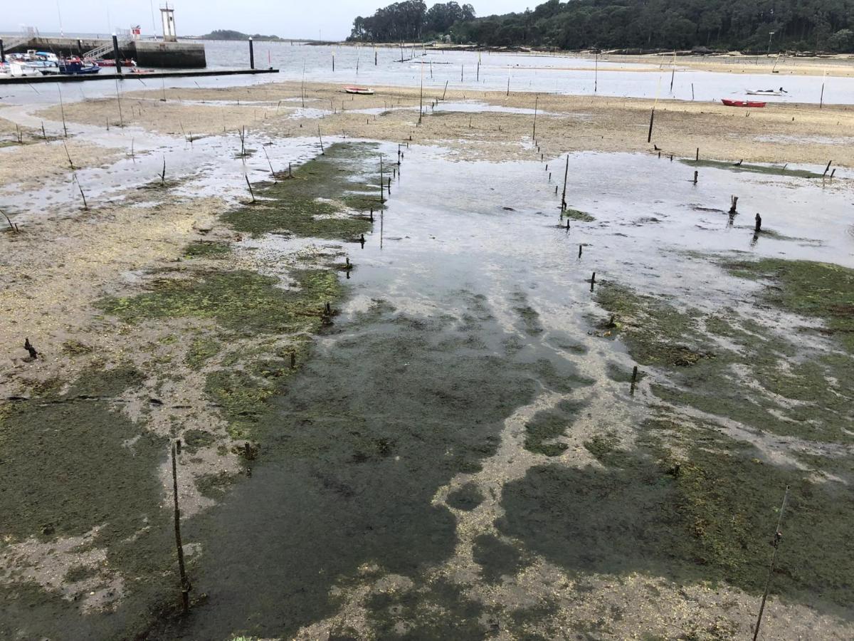 Alojamientos Rias Baixas- Casa Castillejos- Carril Вилагарсия де Ароуса Екстериор снимка